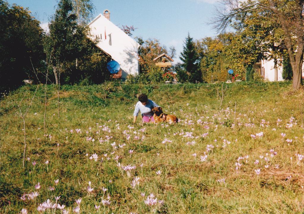 דירות Szentgyorgyvolgy Molnarporta מראה חיצוני תמונה